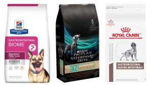 Essential Guide to Prescription Pet Food for Your Furry Friends